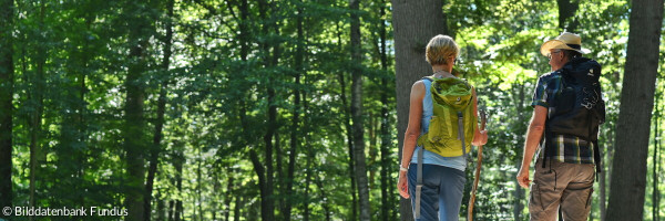 Durch den Wald