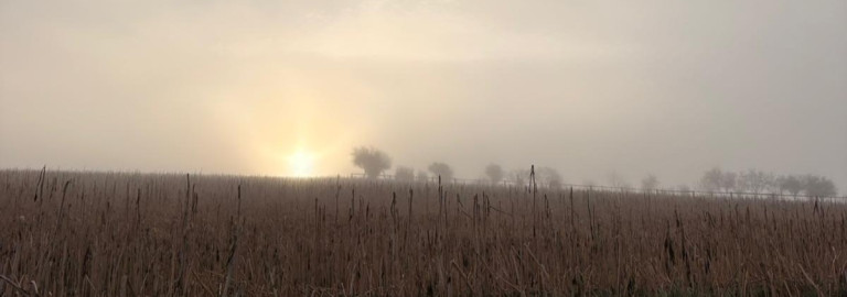 Sonnenaufgang im Morgennebel