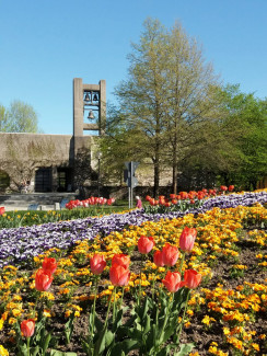 Christuskirche mit Blumen