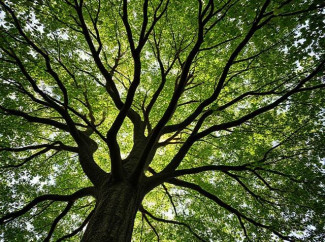 Baum mitr grünen Blättern