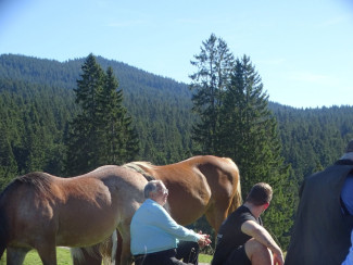 Pferde besuchen den Berggottesdienst