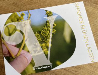 Werbekarte zur Umfrtage "Kirche die aufblüht"