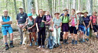 Pilgergruppe im Wald